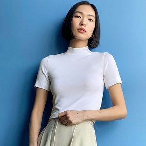 ✨SELL BY 6/15✨ Babton ribbed mockneck crop top